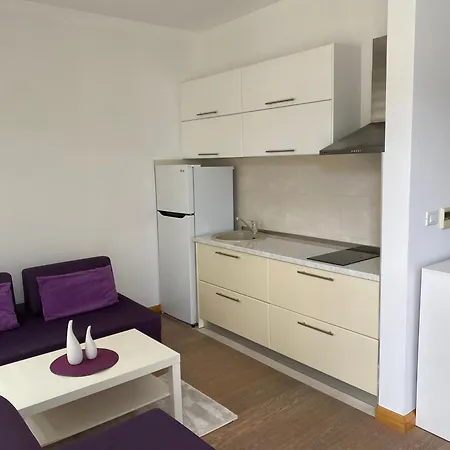Aledora Apartment Budva